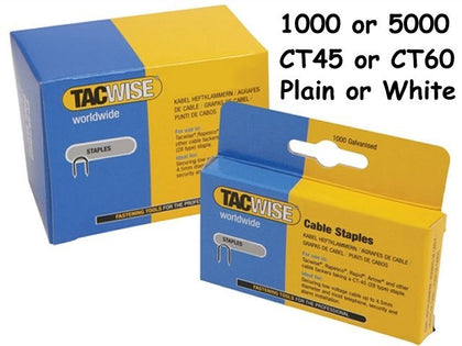 1 Pack x1000) TACWISE CT60 Staples PLAIN